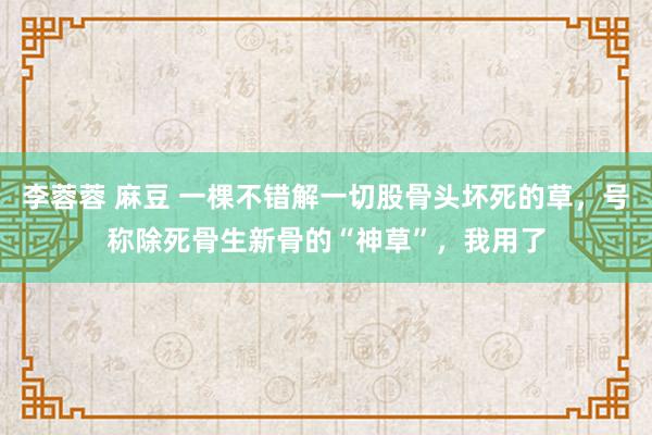 李蓉蓉 麻豆 一棵不错解一切股骨头坏死的草，号称除死骨生新骨的“神草”，我用了