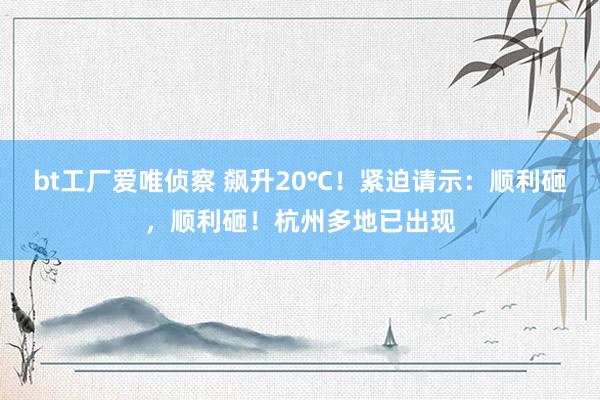 bt工厂爱唯侦察 飙升20℃！紧迫请示：顺利砸，顺利砸！杭州多地已出现