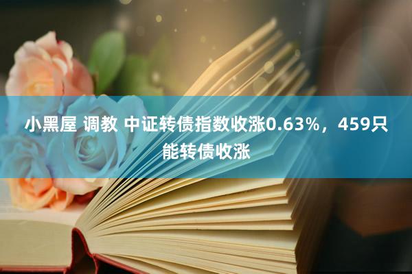 小黑屋 调教 中证转债指数收涨0.63%，459只能转债收涨