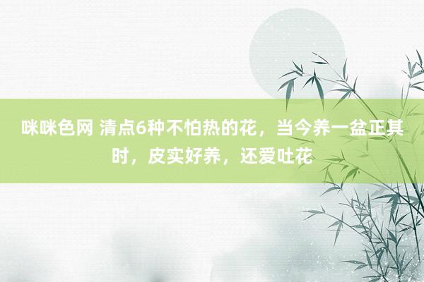 咪咪色网 清点6种不怕热的花，当今养一盆正其时，皮实好养，还爱吐花