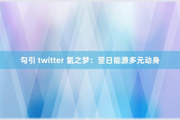 勾引 twitter 氢之梦：翌日能源多元动身