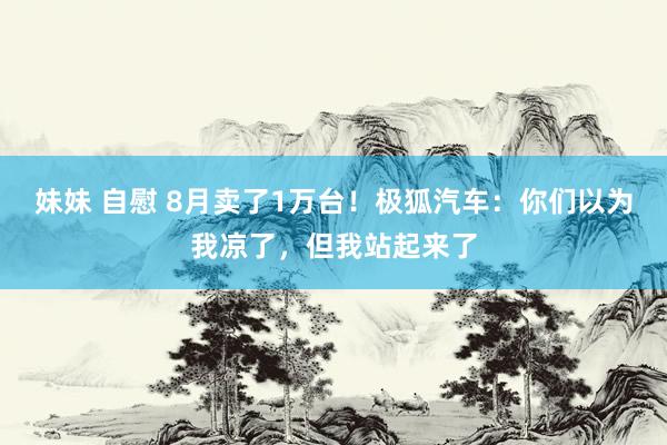 妹妹 自慰 8月卖了1万台！极狐汽车：你们以为我凉了，但我站起来了