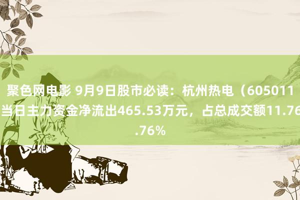 聚色网电影 9月9日股市必读：杭州热电（605011）当日主力资金净流出465.53万元，占总成交额11.76%