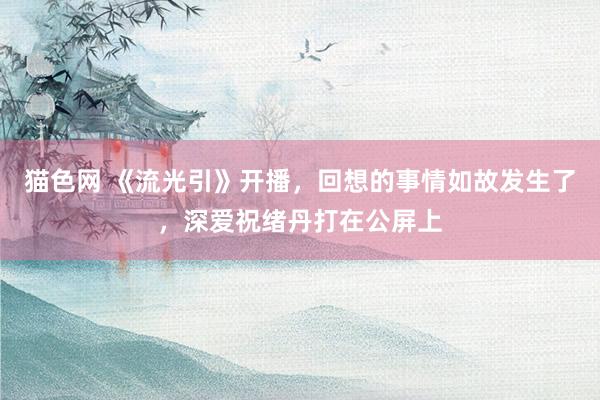 猫色网 《流光引》开播，回想的事情如故发生了，深爱祝绪丹打在公屏上