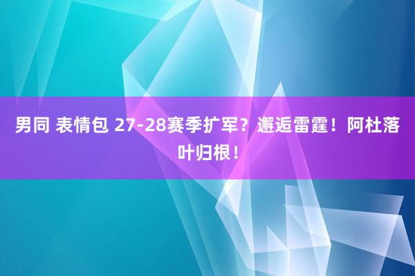 男同 表情包 27-28赛季扩军？邂逅雷霆！阿杜落叶归根！