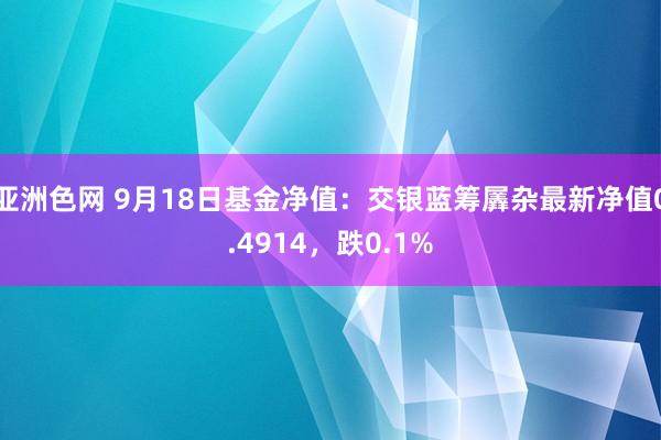 亚洲色网 9月18日基金净值：交银蓝筹羼杂最新净值0.4914，跌0.1%