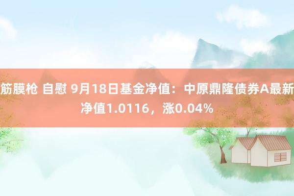 筋膜枪 自慰 9月18日基金净值：中原鼎隆债券A最新净值1.0116，涨0.04%