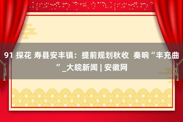 91 探花 寿县安丰镇：提前规划秋收  奏响“丰充曲”_大皖新闻 | 安徽网