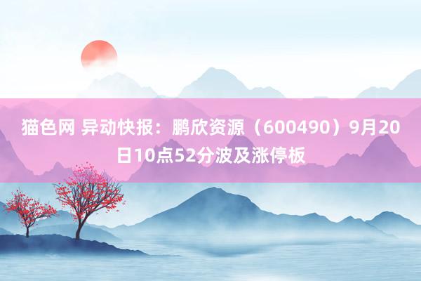 猫色网 异动快报：鹏欣资源（600490）9月20日10点52分波及涨停板