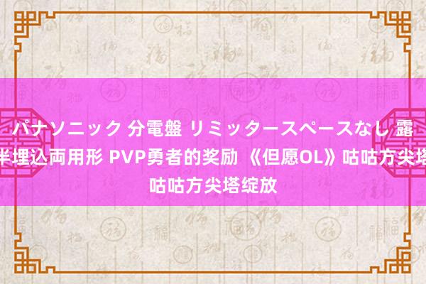 パナソニック 分電盤 リミッタースペースなし 露出・半埋込両用形 PVP勇者的奖励 《但愿OL》咕咕方尖塔绽放