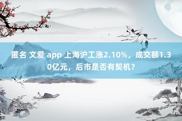 匿名 文爱 app 上海沪工涨2.10%，成交额1.30亿元，后市是否有契机？