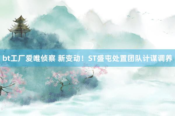 bt工厂爱唯侦察 新变动！ST盛屯处置团队计谋调养