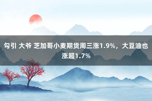 勾引 大爷 芝加哥小麦期货周三涨1.9%，大豆油也涨超1.7%