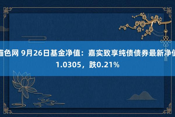 猫色网 9月26日基金净值：嘉实致享纯债债券最新净值1.0305，跌0.21%