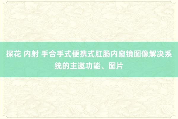 探花 内射 手合手式便携式肛肠内窥镜图像解决系统的主邀功能、图片