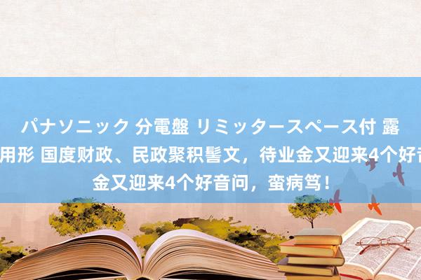 パナソニック 分電盤 リミッタースペース付 露出・半埋込両用形 国度财政、民政聚积髻文，待业金又迎来4个好音问，蛮病笃！