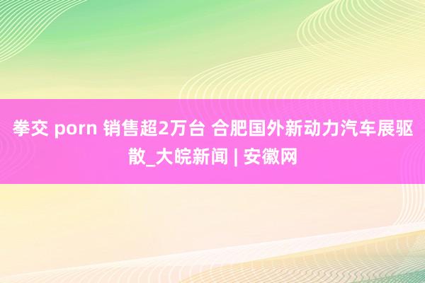 拳交 porn 销售超2万台 合肥国外新动力汽车展驱散_大皖新闻 | 安徽网