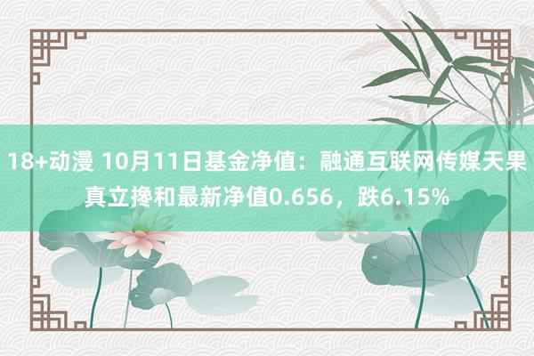 18+动漫 10月11日基金净值：融通互联网传媒天果真立搀和最新净值0.656，跌6.15%