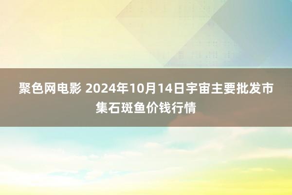 聚色网电影 2024年10月14日宇宙主要批发市集石斑鱼价钱行情