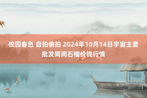 校园春色 自拍偷拍 2024年10月14日宇宙主要批发阛阓石榴价钱行情