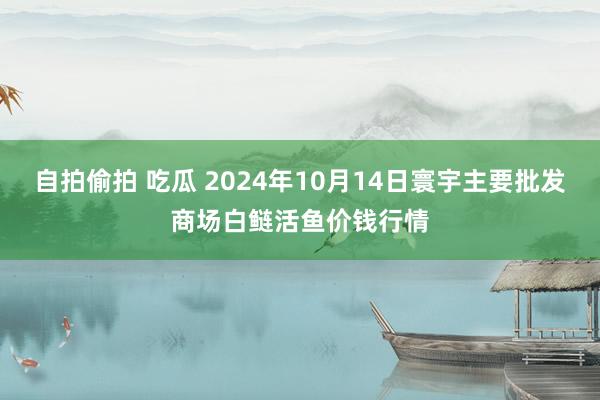 自拍偷拍 吃瓜 2024年10月14日寰宇主要批发商场白鲢活鱼价钱行情