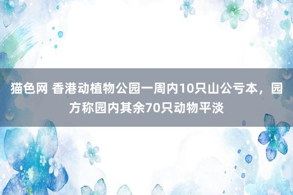 猫色网 香港动植物公园一周内10只山公亏本，园方称园内其余70只动物平淡