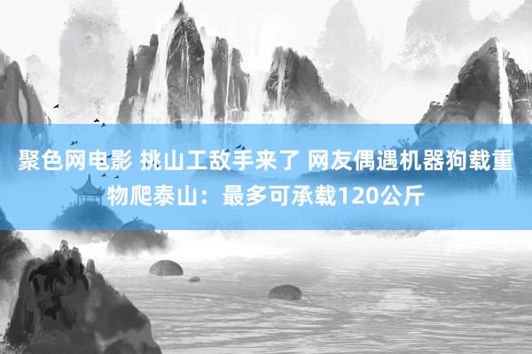 聚色网电影 挑山工敌手来了 网友偶遇机器狗载重物爬泰山：最多可承载120公斤