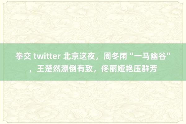 拳交 twitter 北京这夜，周冬雨“一马幽谷”，王楚然潦倒有致，佟丽娅艳压群芳