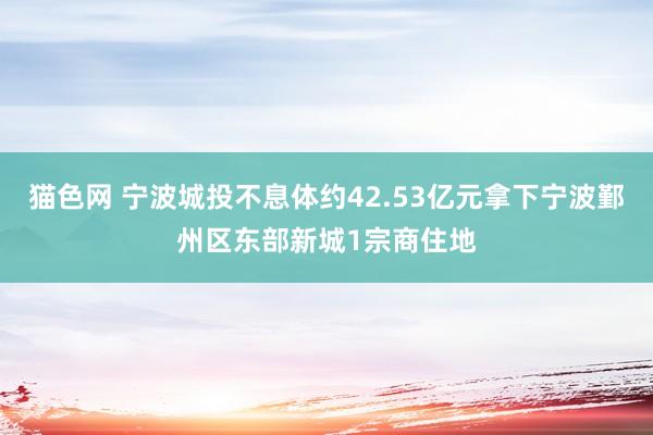 猫色网 宁波城投不息体约42.53亿元拿下宁波鄞州区东部新城1宗商住地