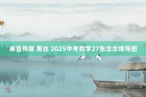 麻豆传媒 黑丝 2025中考数学27张念念维导图