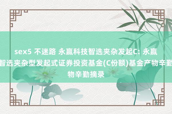 sex5 不迷路 永赢科技智选夹杂发起C: 永赢科技智选夹杂型发起式证券投资基金(C份额)基金产物辛勤摘录