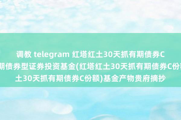 调教 telegram 红塔红土30天抓有期债券C: 红塔红土30天抓有期债券型证券投资基金(红塔红土30天抓有期债券C份额)基金产物贵府摘抄