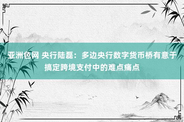 亚洲色网 央行陆磊：多边央行数字货币桥有意于搞定跨境支付中的难点痛点