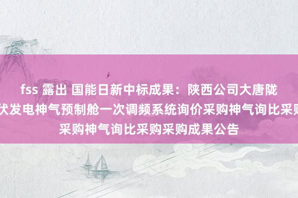 fss 露出 国能日新中标成果：陕西公司大唐陇县10万千瓦光伏发电神气预制舱一次调频系统询价采购神气询比采购采购成果公告