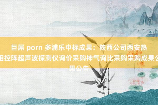 巨屌 porn 多浦乐中标成果：陕西公司西安热电相控阵超声波探测仪询价采购神气询比采购采购成果公告