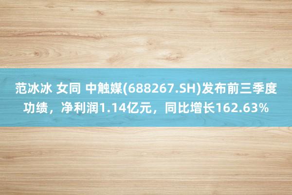 范冰冰 女同 中触媒(688267.SH)发布前三季度功绩，净利润1.14亿元，同比增长162.63%