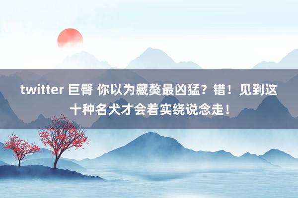 twitter 巨臀 你以为藏獒最凶猛？错！见到这十种名犬才会着实绕说念走！