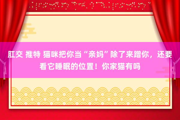 肛交 推特 猫咪把你当“亲妈”除了来蹭你，还要看它睡眠的位置！你家猫有吗