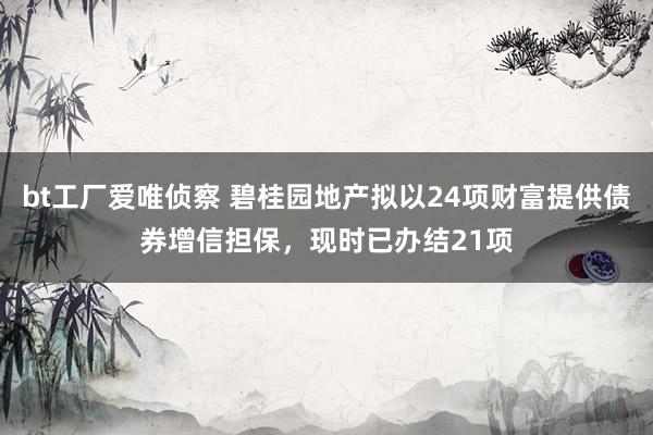 bt工厂爱唯侦察 碧桂园地产拟以24项财富提供债券增信担保，现时已办结21项