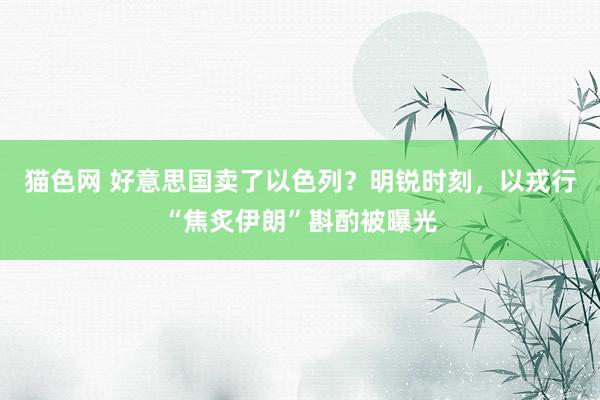 猫色网 好意思国卖了以色列？明锐时刻，以戎行“焦炙伊朗”斟酌被曝光