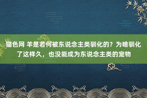 猫色网 羊是若何被东说念主类驯化的？为啥驯化了这样久，也没能成为东说念主类的宠物