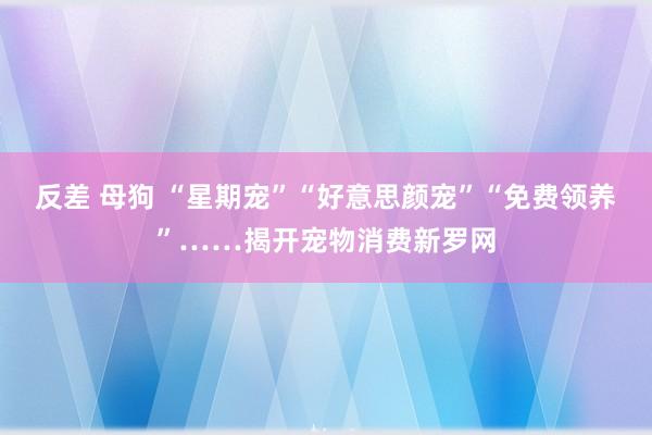 反差 母狗 “星期宠”“好意思颜宠”“免费领养”……揭开宠物消费新罗网