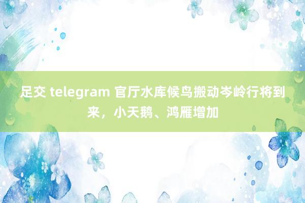 足交 telegram 官厅水库候鸟搬动岑岭行将到来，小天鹅、鸿雁增加