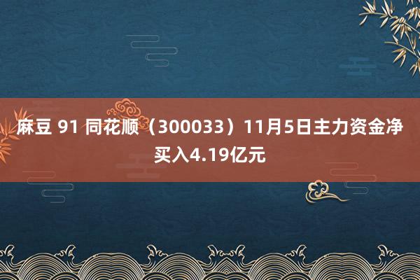 麻豆 91 同花顺（300033）11月5日主力资金净买入4.19亿元