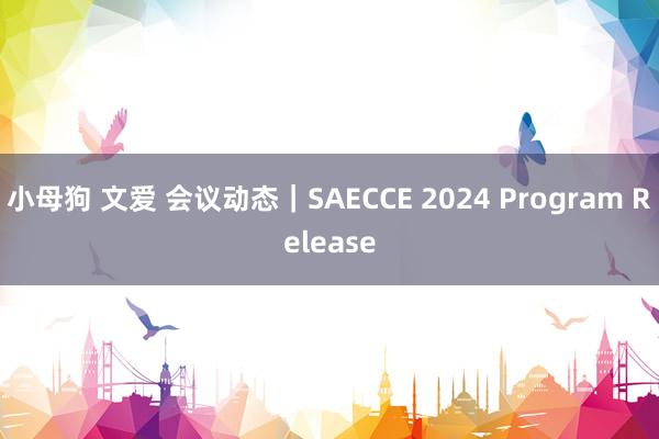 小母狗 文爱 会议动态｜SAECCE 2024 Program Release