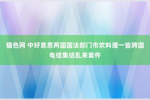 猫色网 中好意思两国国法部门市欢料理一皆跨国电信集结乱来案件