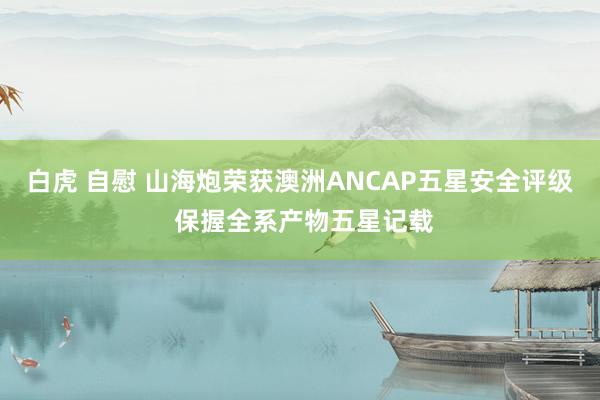 白虎 自慰 山海炮荣获澳洲ANCAP五星安全评级 保握全系产物五星记载