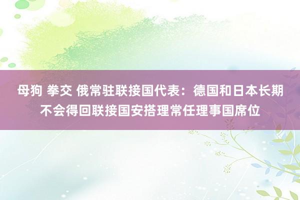 母狗 拳交 俄常驻联接国代表：德国和日本长期不会得回联接国安搭理常任理事国席位