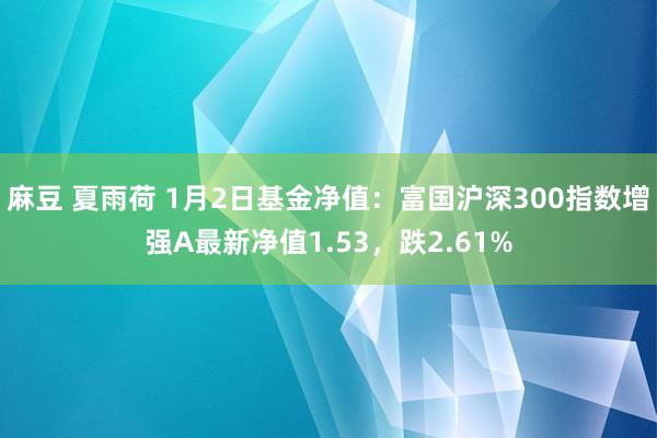 麻豆 夏雨荷 1月2日基金净值：富国沪深300指数增强A最新净值1.53，跌2.61%