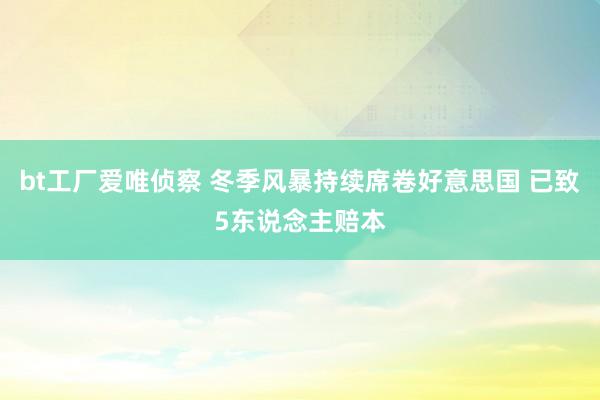 bt工厂爱唯侦察 冬季风暴持续席卷好意思国 已致5东说念主赔本